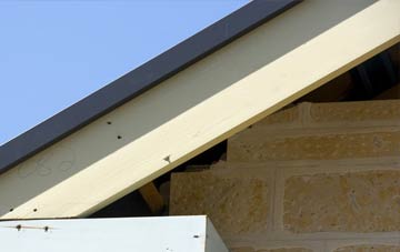 High Park fascia repairs