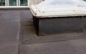 disadvantages of High Park flat roofs
