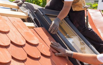 replacement High Park roof windows