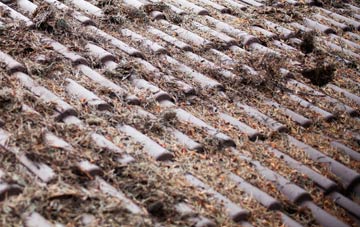 High Park roof cleaning companies