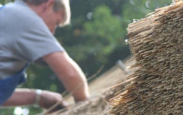 professional High Park thatchers