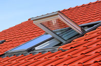 High Park roof window