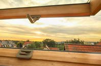 rated High Park roof window companies